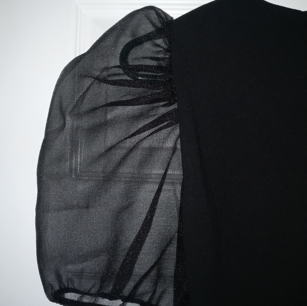 NWOT puff sleeve organza zara black dress - Picture 5 of 6